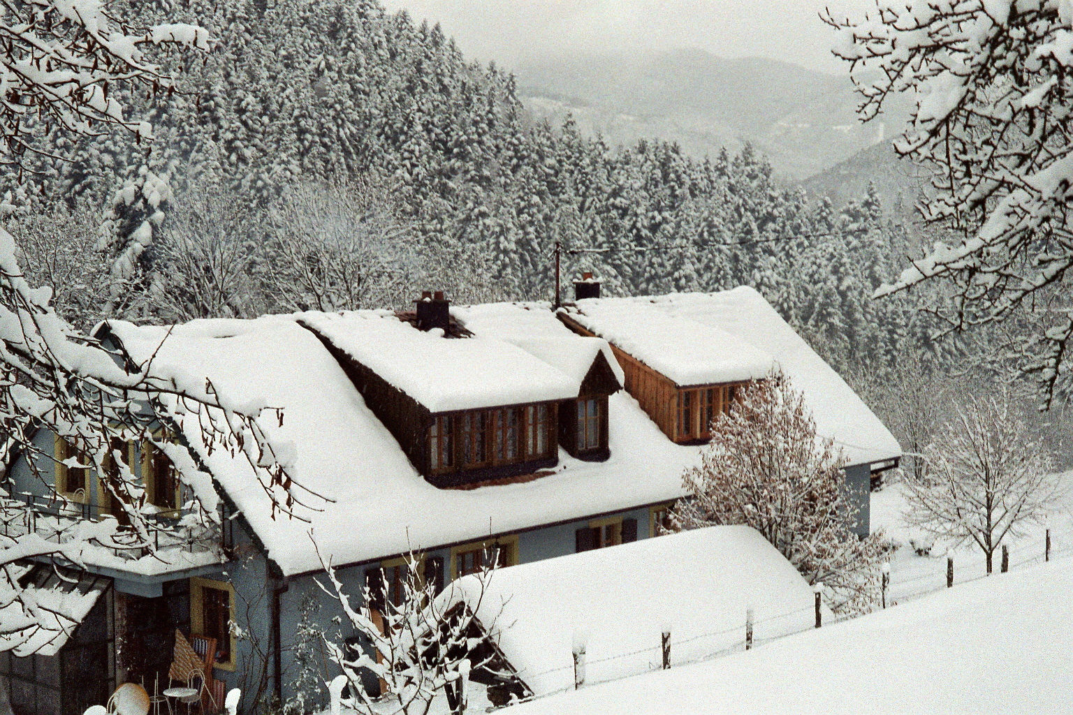 My Childhood Home